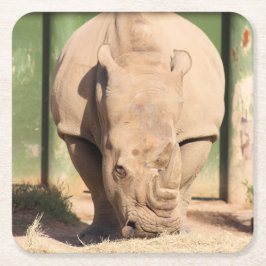 Porta-copo De Papel Quadrado Rinoceronte branco