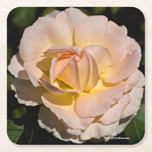 Porta-copo De Papel Quadrado Rosa de chá