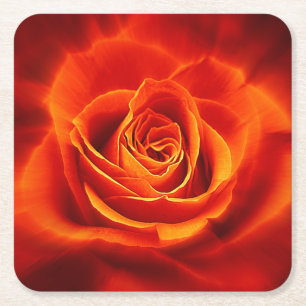 Porta-copo De Papel Quadrado Rosa de Laranja Vermelho brilhante