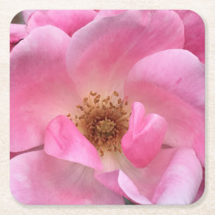 Porta-copo De Papel Quadrado Rosa Rosa Rosa