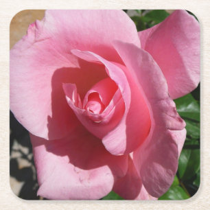 Porta-copo De Papel Quadrado Rosa Rosa Rosa Rosa III Jardim Floral