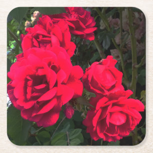 Porta-copo De Papel Quadrado Rosa vermelha Blooming
