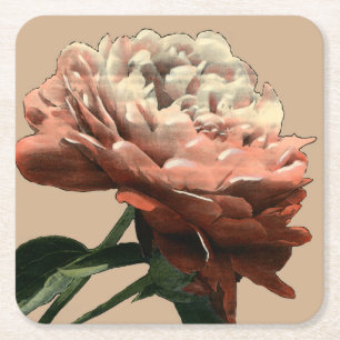 Porta-copo De Papel Quadrado Rosa vermelha Ruby com Destaques Brancos