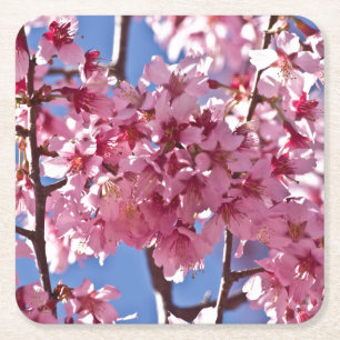 Porta-copo De Papel Quadrado Sakura Cherry Blossoms Red Stars