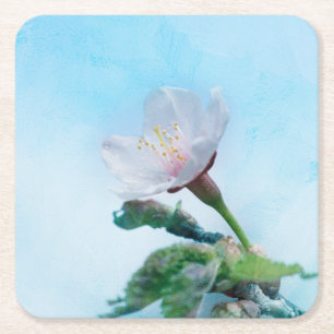 Porta-copo De Papel Quadrado Sakura - Flor de Cerejeira Japonesa