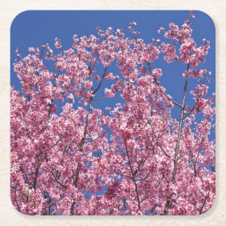 Porta-copo De Papel Quadrado Sakura Flores de Cerejeira no Azul