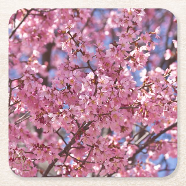 Porta-copo De Papel Quadrado Sakura Pink Chersom Sky (Frente)