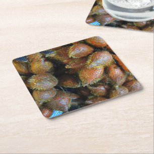 Porta-copo De Papel Quadrado Salak [Fruta Cobra]