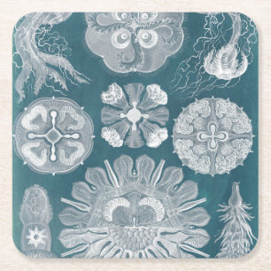 Porta-copo De Papel Quadrado Sealife Blueprint IV