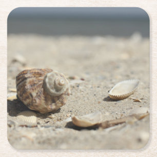 Porta-copo De Papel Quadrado Seashells na areia pelo mar