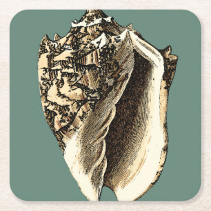 Porta-copo De Papel Quadrado Shell de Conch Teal