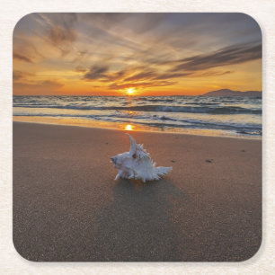 Porta-copo De Papel Quadrado Shell na praia na ilha do por do sol Kos