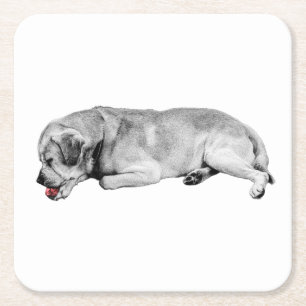 Porta-copo De Papel Quadrado Sip Gentil, Pequeno Spark