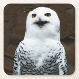 Porta-copo De Papel Quadrado Snowy Owl costercna