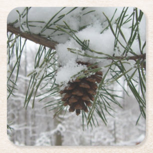 Porta-copo De Papel Quadrado Snowy Pine Branch Winter Nature Fotografia