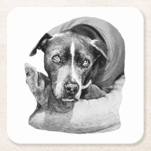 Porta-copo De Papel Quadrado Soulful Out Pup
