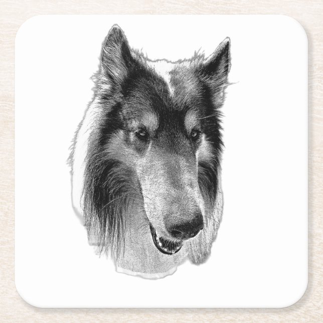 Porta-copo De Papel Quadrado Steady Surface – Collie (Frente)