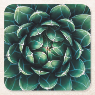 Porta-copo De Papel Quadrado Succulent verde & branco