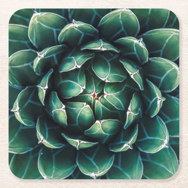 Porta-copo De Papel Quadrado Succulent verde & branco (Frente)
