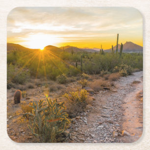 Porta-copo De Papel Quadrado Sunrize Sobre Arizona