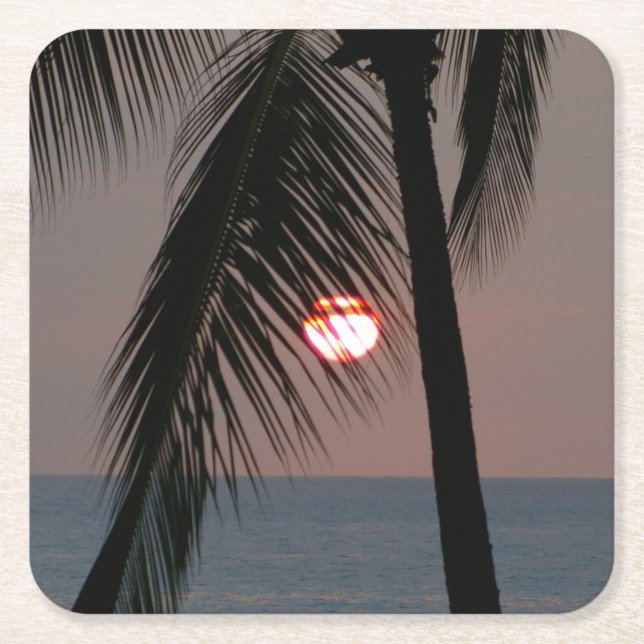Porta-copo De Papel Quadrado Sunset Tropical Palm Tree (Frente)