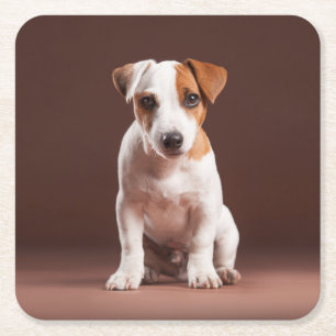 Porta-copo De Papel Quadrado Super Sweet Puppy