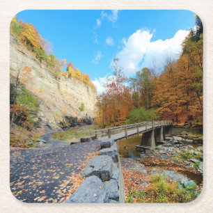 Porta-copo De Papel Quadrado Taughannock cai parque estadual