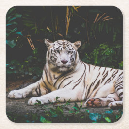 Porta-copo De Papel Quadrado Tigre