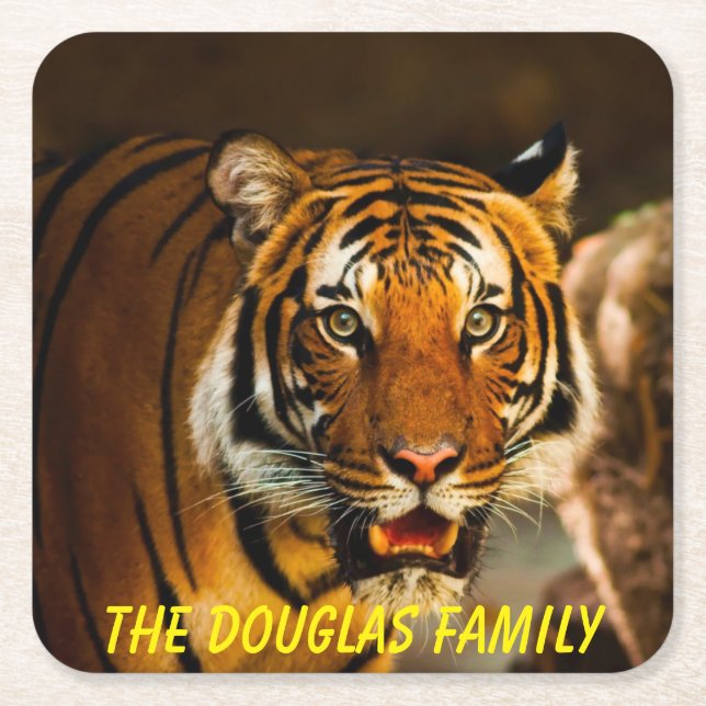 Porta-copo De Papel Quadrado Tigre de Fecho (Frente)