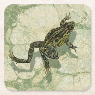 Porta-copo De Papel Quadrado Toad Swinning na água