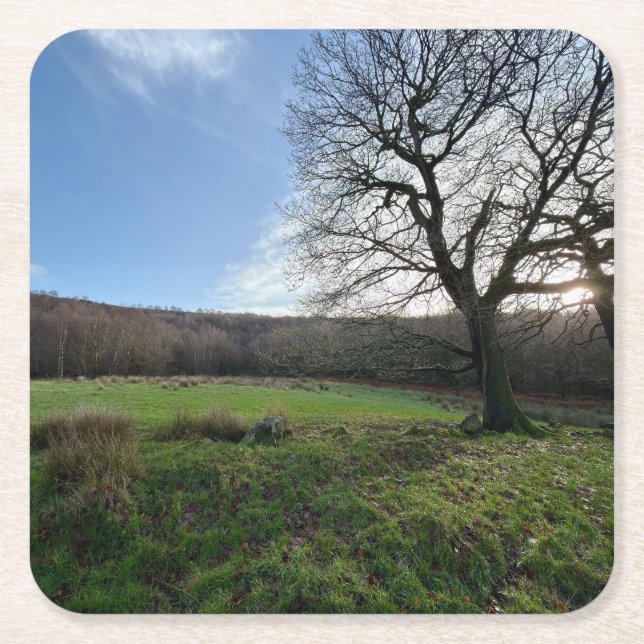 Porta-copo De Papel Quadrado Tree view.. (Frente)