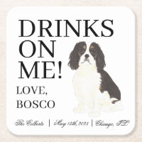 Tricolor Cavalier King Charles Spaniel Wedding