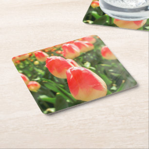 Porta-copo De Papel Quadrado Tulip Heaven
