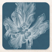 Tulipa II monocromática