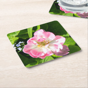 Porta-copo De Papel Quadrado Tulipa rosa fofa