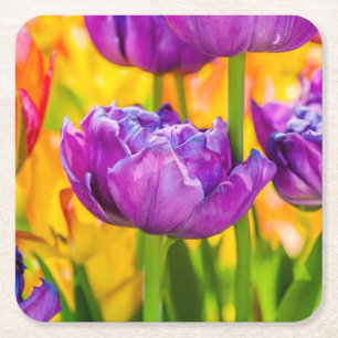 Porta-copo De Papel Quadrado Tulipas Enchendo Rosa Profundo