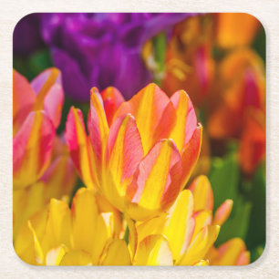 Porta-copo De Papel Quadrado Túlipas Enfeitiçantes 16