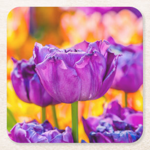 Porta-copo De Papel Quadrado Túlipas Enfeitiçantes Roxas