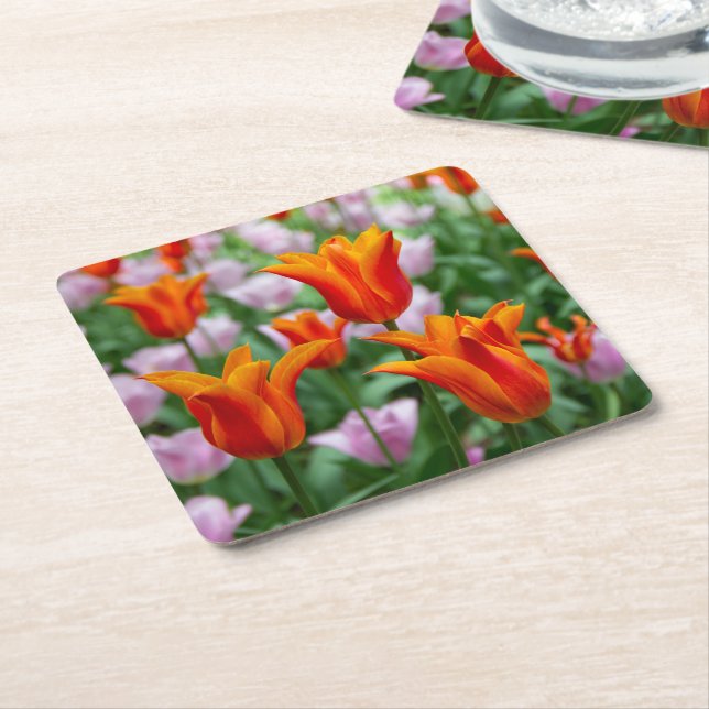 Porta-copo De Papel Quadrado Tulipas laranja-claras no parque (Inclinado)