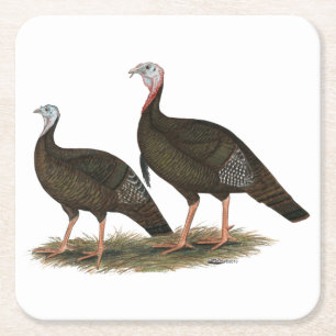 Porta-copo De Papel Quadrado Turkeys East Wild Pair
