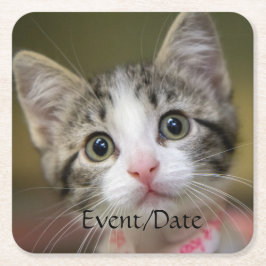 Porta-copo De Papel Quadrado Um gatinho bonito com olhos verdes