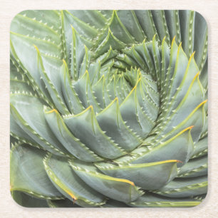 Porta-copo De Papel Quadrado Um Succulent verde & branco