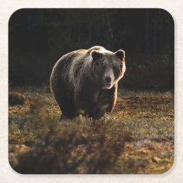 Porta-copo De Papel Quadrado Urso