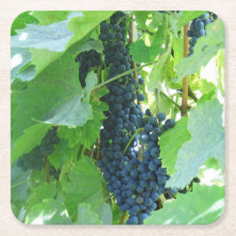 Porta-copo De Papel Quadrado Uvas Azuis