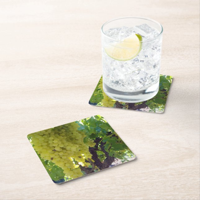 Porta-copo De Papel Quadrado Uvas Sultana Numa Vinha De Uva, (Insitu)