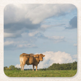Porta-copo De Papel Quadrado Vaca loura na região de Dordogne, France do