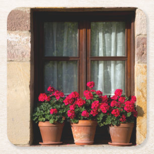 Porta-copo De Papel Quadrado Vasos de flores na janela da aldeia