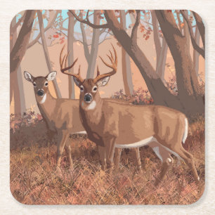 Porta-copo De Papel Quadrado Veado De Whitetail Na Floresta - Natureza Do Estil