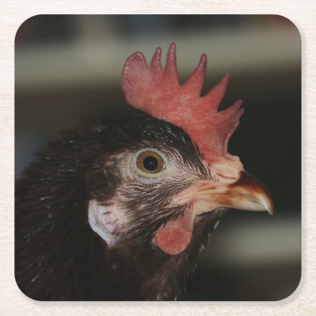 Porta-copo De Papel Quadrado Vermelho (Frente)