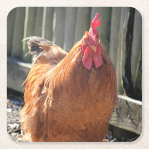 Porta-copo De Papel Quadrado Vermelho